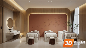 Spa Skp Files 
